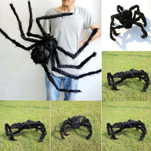 Halloween spinne große - spinne,