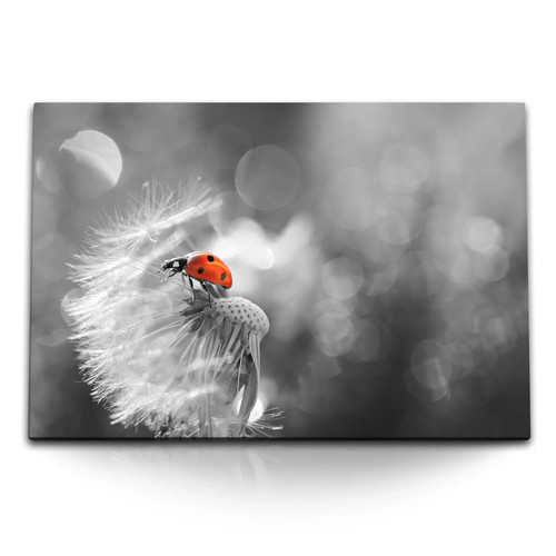 120x80cm wandbild auf leinwand - 120x80cm,