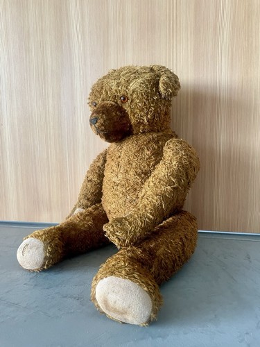 Alter teddybär teddy antik - alter,