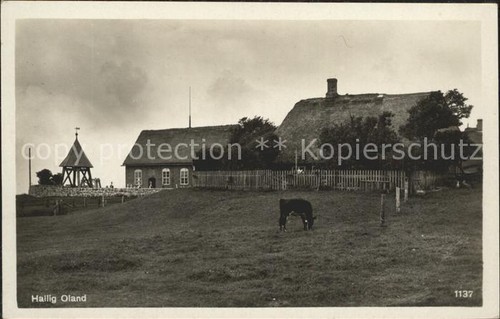 Hallig oland - hallig,