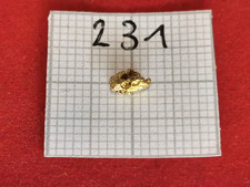 #231 Goldnugget Alaska Yukon