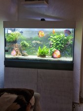 Verkaufe ein Aquarium