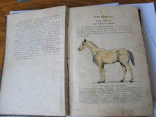 SELTEN! Lehre vom Hufbeschlag 1899 Hufschmied Schmied Pferde Pferdezucht