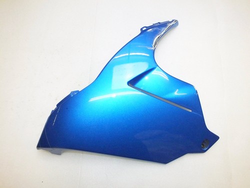 Verkleidung suzuki gsx - verkleidung,