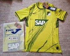 TSG Hoffenheim Fußball