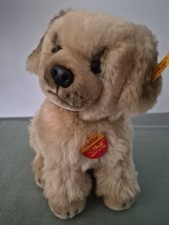 Steiff Hund Hektor neuwertig