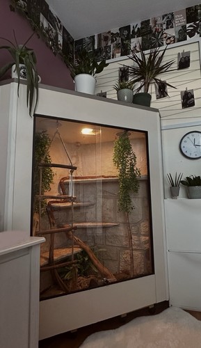 Großes eck terrarium mit - großes,