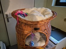 katzenkorb weide mit kissen