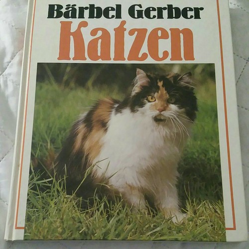Katzen rassen verhalten - katzen:,