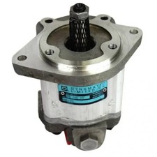 Power Steering Pump fits David
