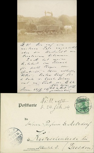 Berufe arbeit bauern - berufe,