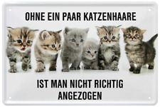  ''Ohne ein paar Katzenhaare ist man nicht richtig..'' 20x30cm Blechschild