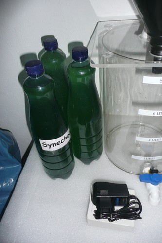 Plankton reaktor liter - plankton-reaktor-8, liter-