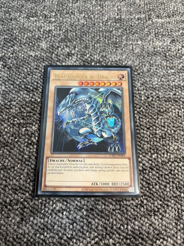 Blauäugiger weißer drache - blauäugiger,