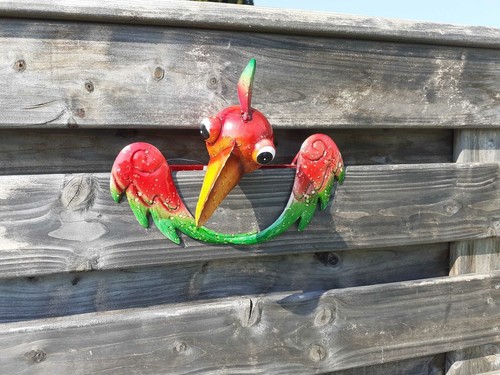 Brüstungstier vogel aus - brüstungstier,