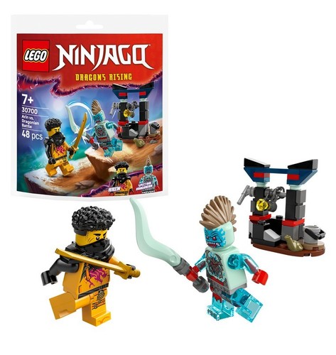 Lego ninjago arins - , *