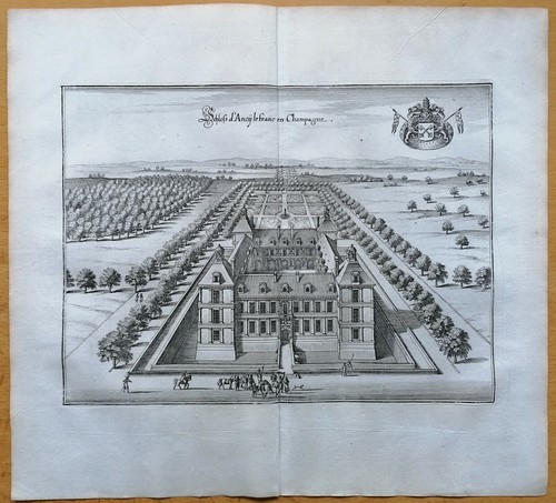 Merian original kupferstich - merian,