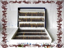 Testkasten Arterien Herz Magen