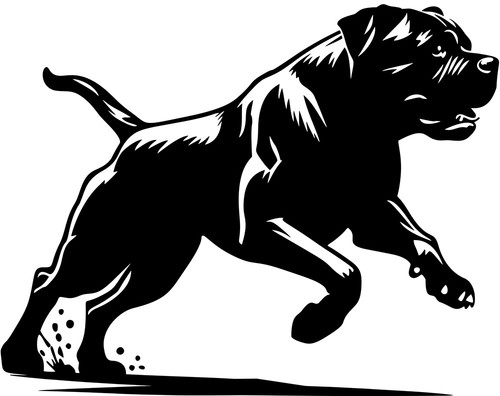 Cane corso aufkleber - cane,