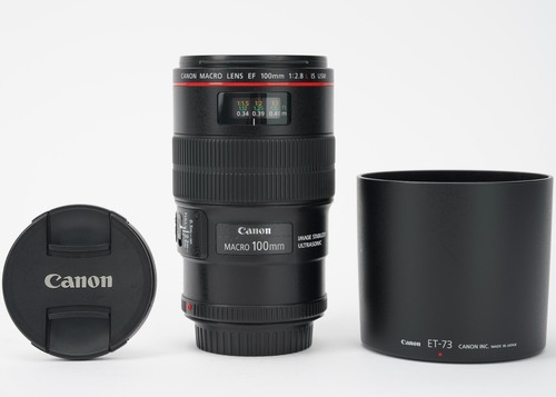 Canon 100mm 8l macro - canon, ef