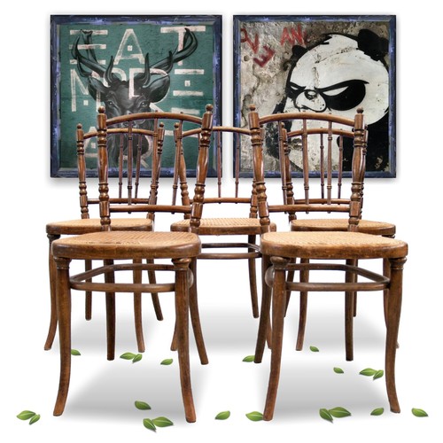 Thonet sessel bugholz - sessel,