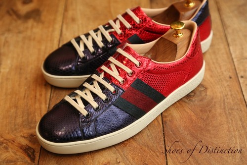 Gucci ace rot blau - gucci,