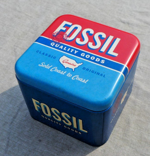 Rarität für fossil - fÜr, fossil-sammler