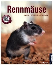 Rennmäuse: halten, pflegen