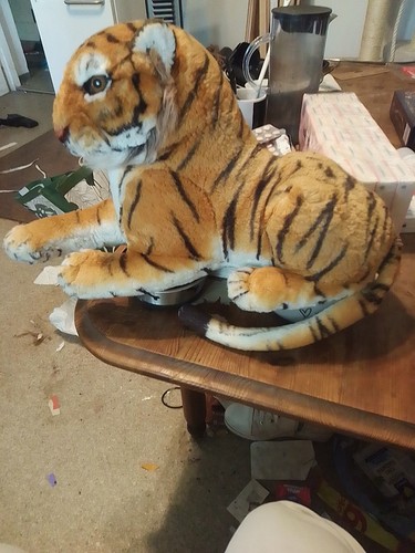 Plüschtier tiger gebraucht - plüschtier,