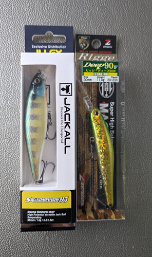 Illex squad minnow 95sp - squad,