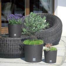 Blumentopf Übertopf