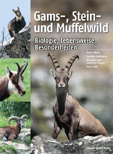 Gams stein und muffelwild - gams-,,