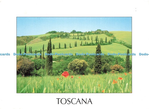 D229480 toscana foce val - foce, d