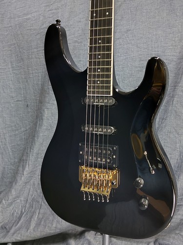 Aria pro custom bk - ii, black