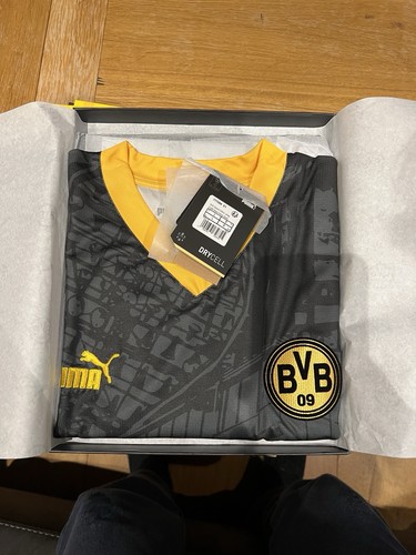 Bvb borussia dortmund - borussia,