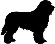  BEARDED COLLIE Aufkleber