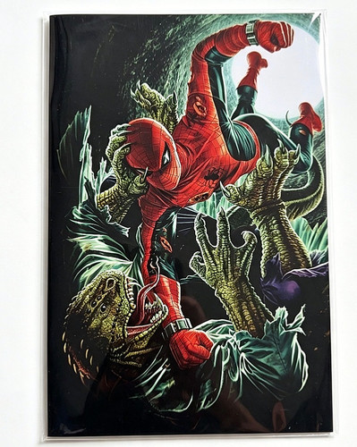 Amazing spider man - spider-man, lee