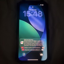 iPhone 13 Pro Max 256GB