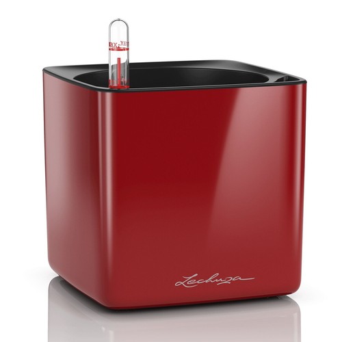 Lechuza cube glossy 14 - ,