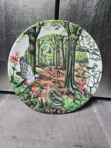 Wedgwood sammelteller colin - wedgwood,