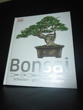 Bonsai schneiden gestalten