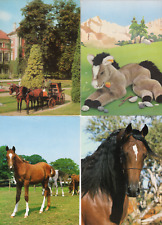 123/628 AK PFERDE KUTSCHE BERUF ARABISCHES VOLLBLUT usw. + STEIFF - 4 x