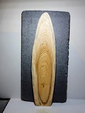 Groß,Baumscheibe, halbe