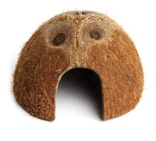 Komodo Habitat Kokoshöhle