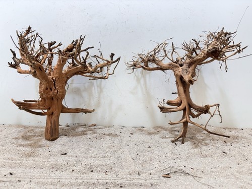 Aquariumwurzel etosha tree - aquariumwurzel,,