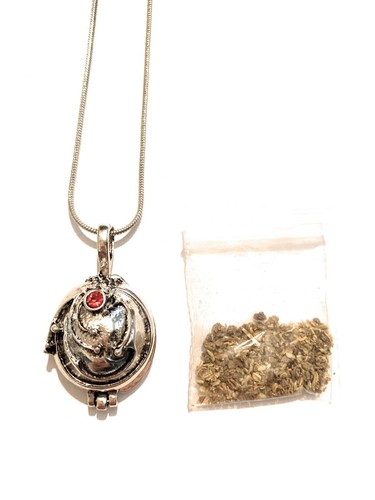 The vampire diaries collana - the,