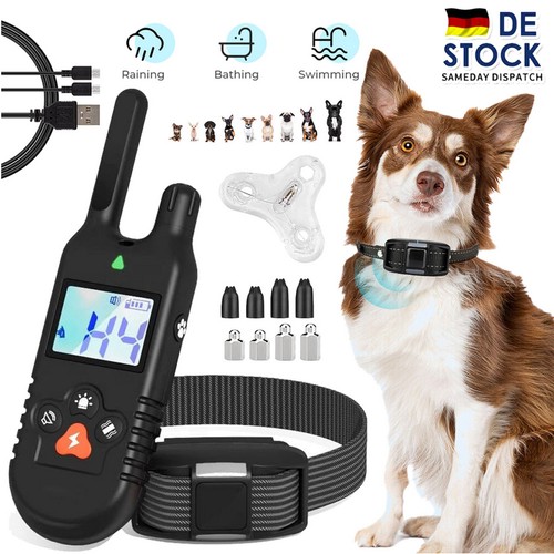 Hund ausbildung stromschlag - hund,