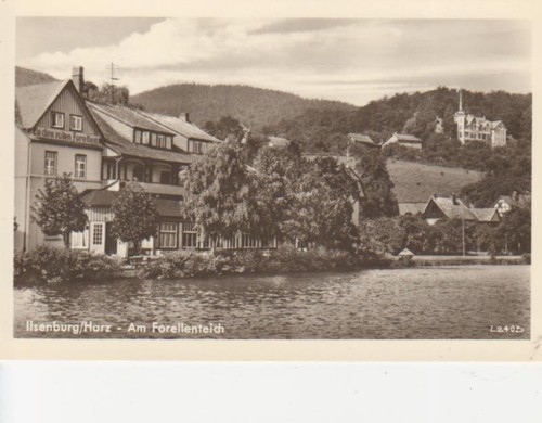 Ilsenburg forellenteich - ilsenburg,