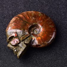 Rainbow Natural Conch Crystal