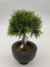 künstlicher Bonsai Baum 29 cm, Kunstpflanze Top Deko Baum mit Topf, Kunstbaum